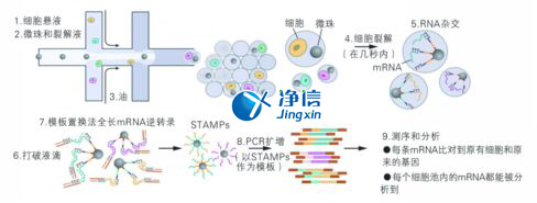 中國人自己的微流控單細(xì)胞測(cè)序儀來了！_微流控Drop-seq