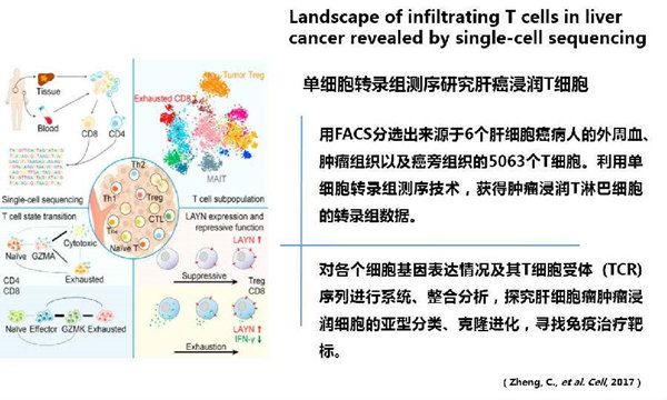 RNA-seq單細胞轉(zhuǎn)錄組測序在眼科領(lǐng)域中的研究應用