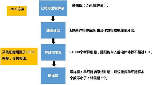 RNA-seq單細胞轉(zhuǎn)錄組測序在眼科領(lǐng)域中的研究應用