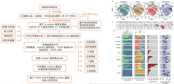 10X Genomics 單細(xì)胞轉(zhuǎn)錄組測序